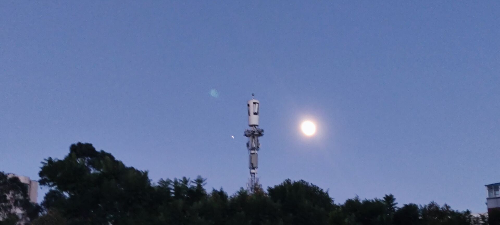 点击放大图片